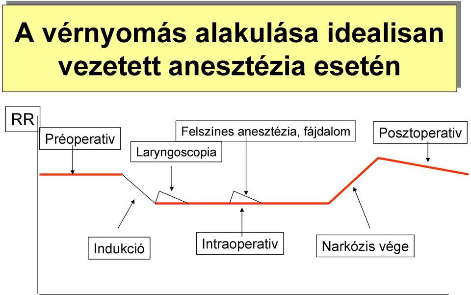 Laryngoscopia Felszínes anesztézia,