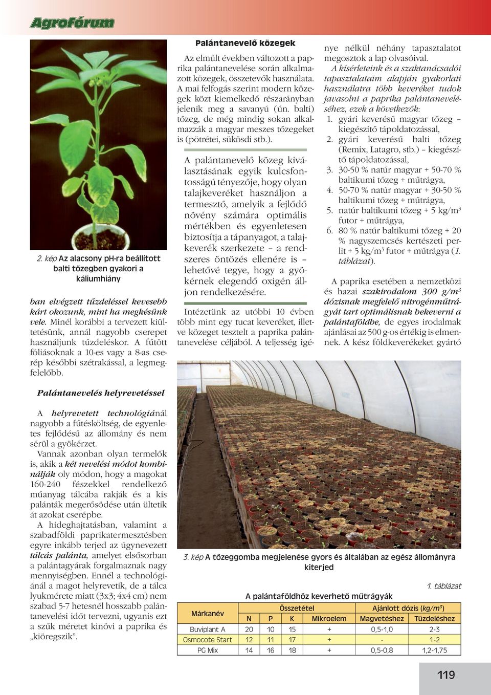 Szaktanácsadói szemmel a paprika kisüzemi palántaneveléséről - PDF Ingyenes  letöltés