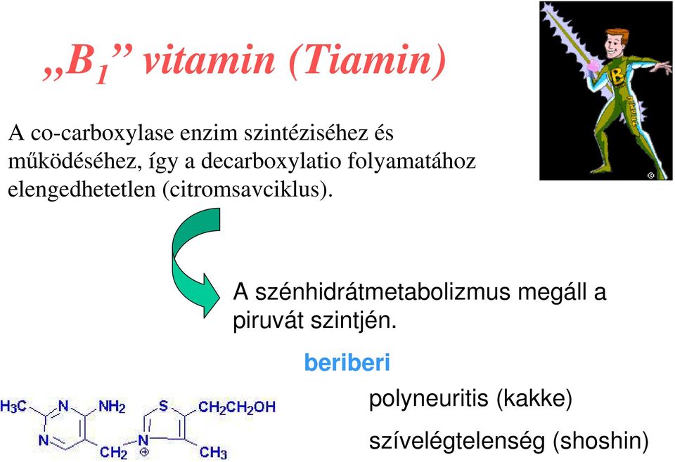 (citromsavciklus).