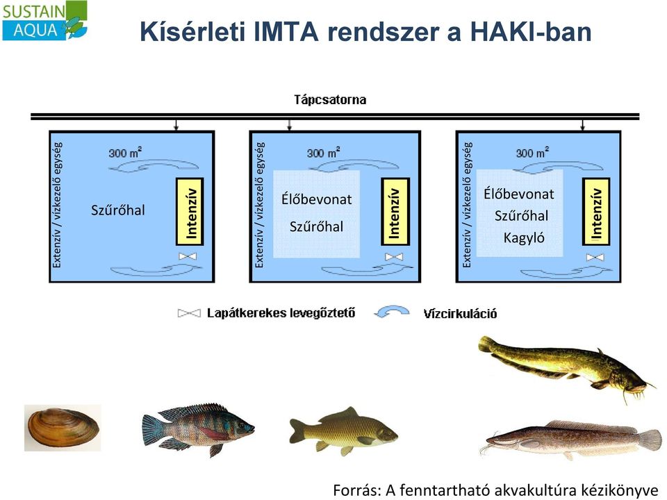 egység Intenzív Extenzív / vízkezelő egység Intenzív Extenzív