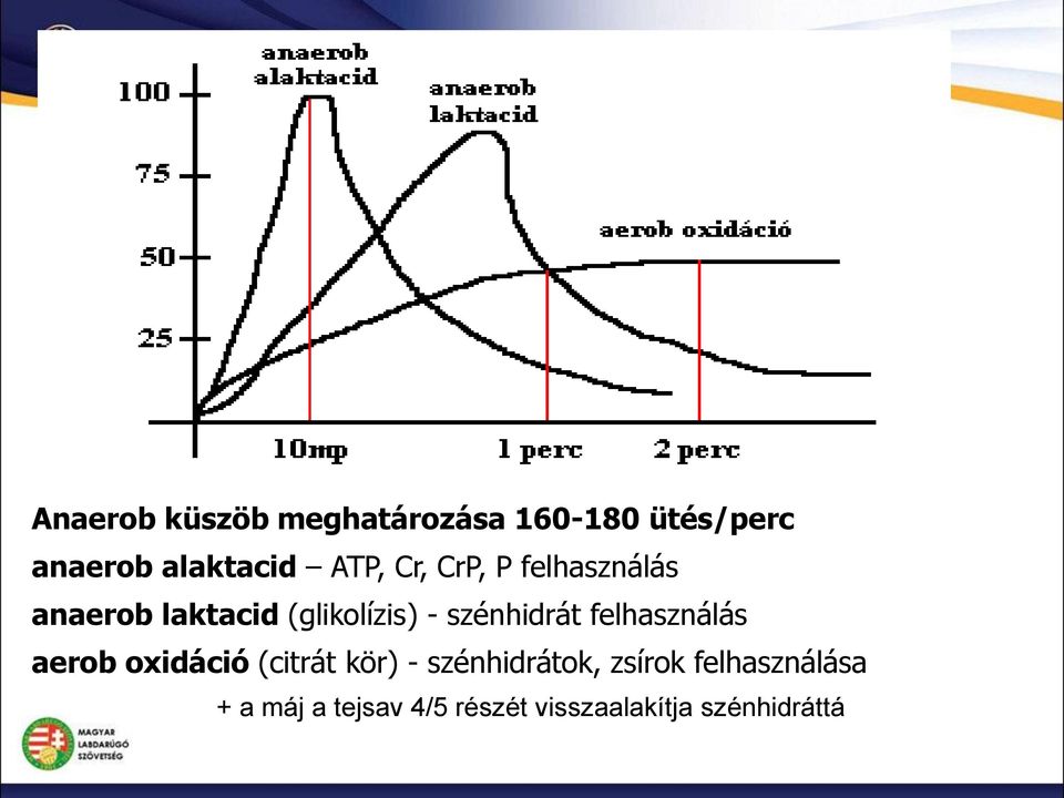 szénhidrát felhasználás aerob oxidáció (citrát kör) - szénhidrátok,