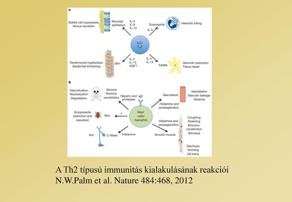 kialakulásának