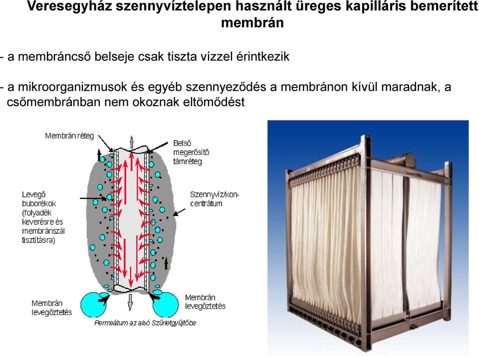 vízzel érintkezik - a mikroorganizmusok és egyéb