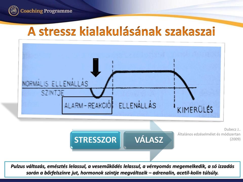 emésztés lelassul, a veseműködés lelassul, a vérnyomás