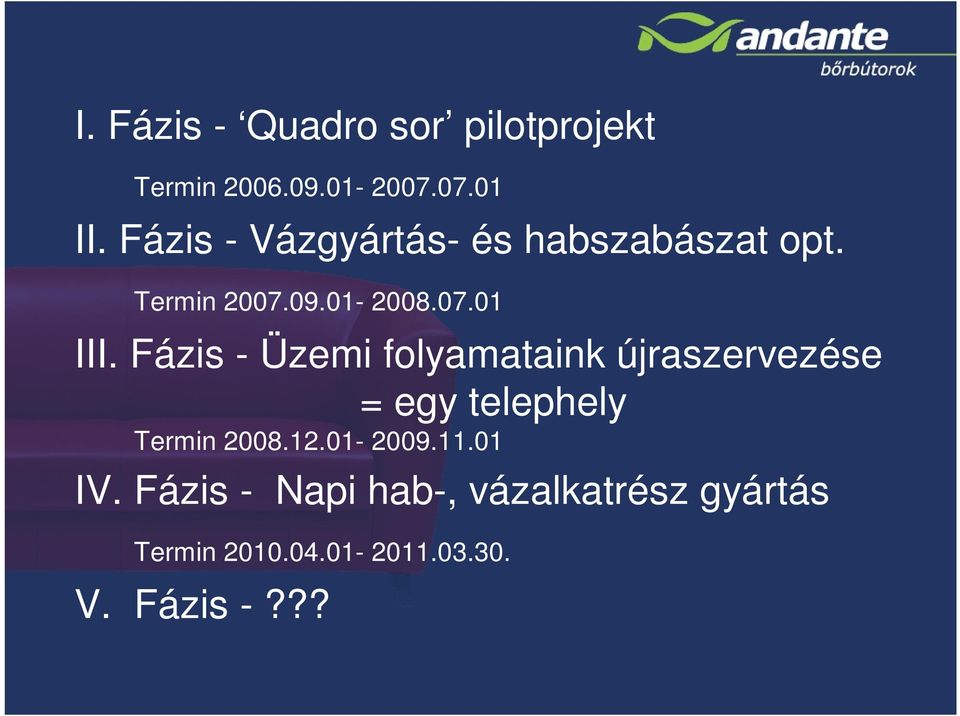 Fázis - Üzemi folyamataink újraszervezése = egy telephely Termin 2008.12.