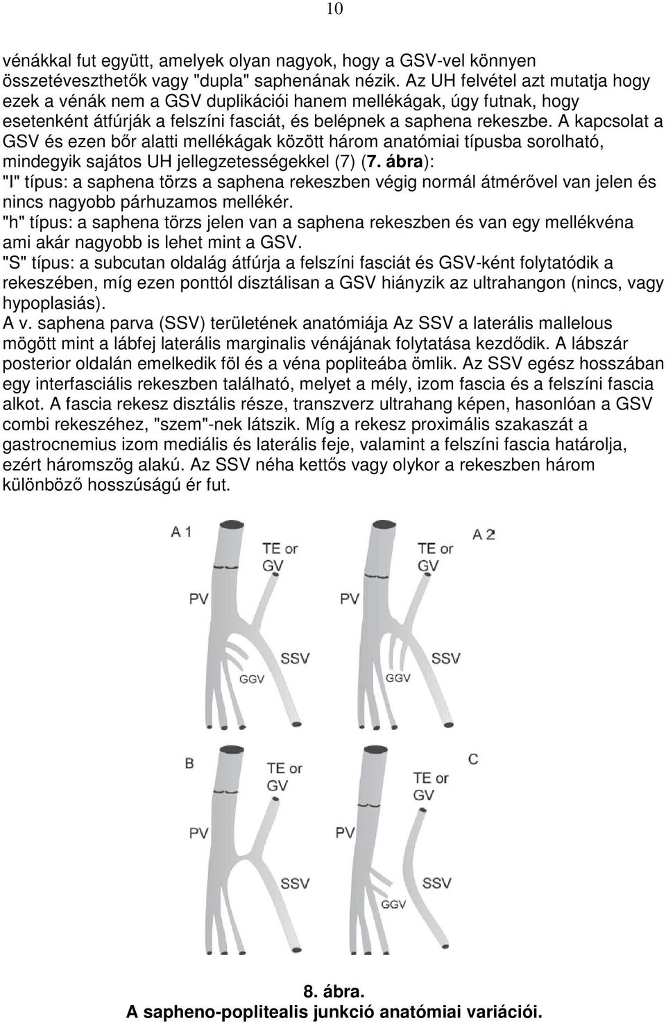 A kapcsolat a GSV és ezen bır alatti mellékágak között három anatómiai típusba sorolható, mindegyik sajátos UH jellegzetességekkel (7) (7.