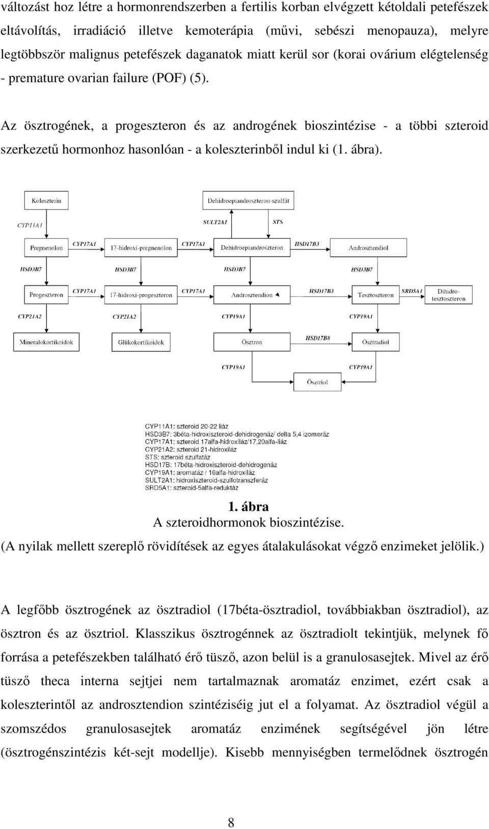 Az ösztrogének, a progeszteron és az androgének bioszintézise - a többi szteroid szerkezetű hormonhoz hasonlóan - a koleszterinből indul ki (1. ábra). 1. ábra A szteroidhormonok bioszintézise.