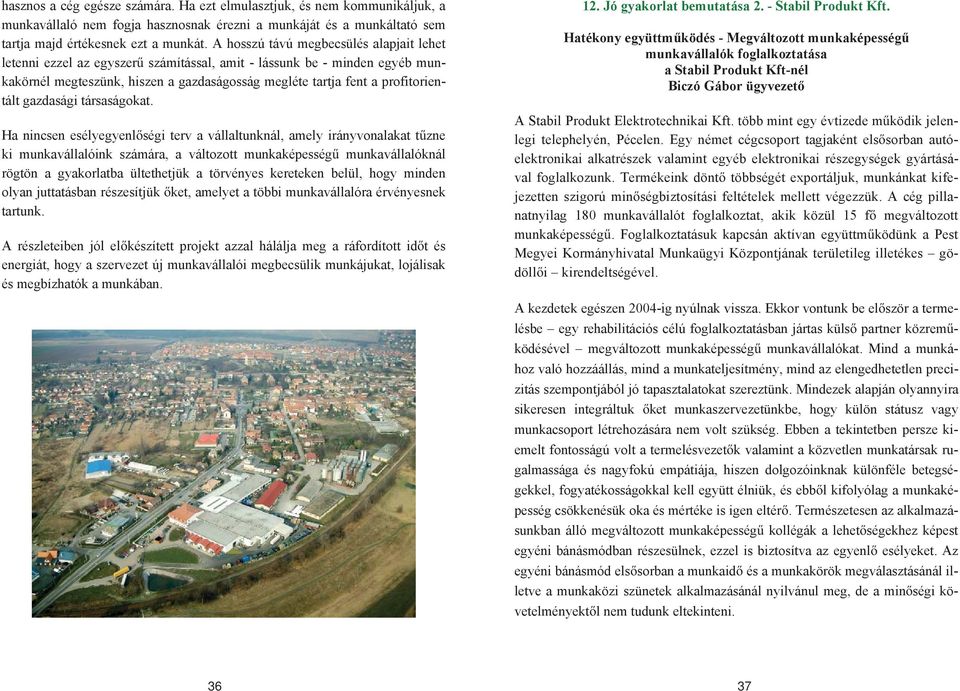 gazdasági társaságokat.