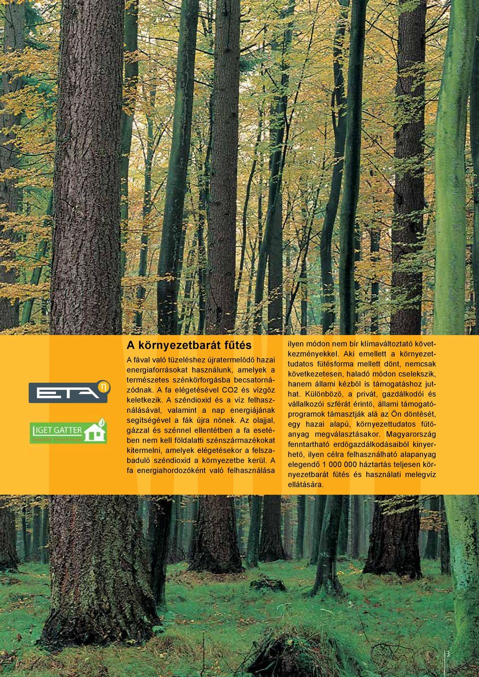 Az olajjal, gázzal és szénnel ellentétben a fa esetében nem kell földalatti szénszármazékokat kitermelni, amelyek elégetésekor a felszabaduló széndioxid a környezetbe kerül.