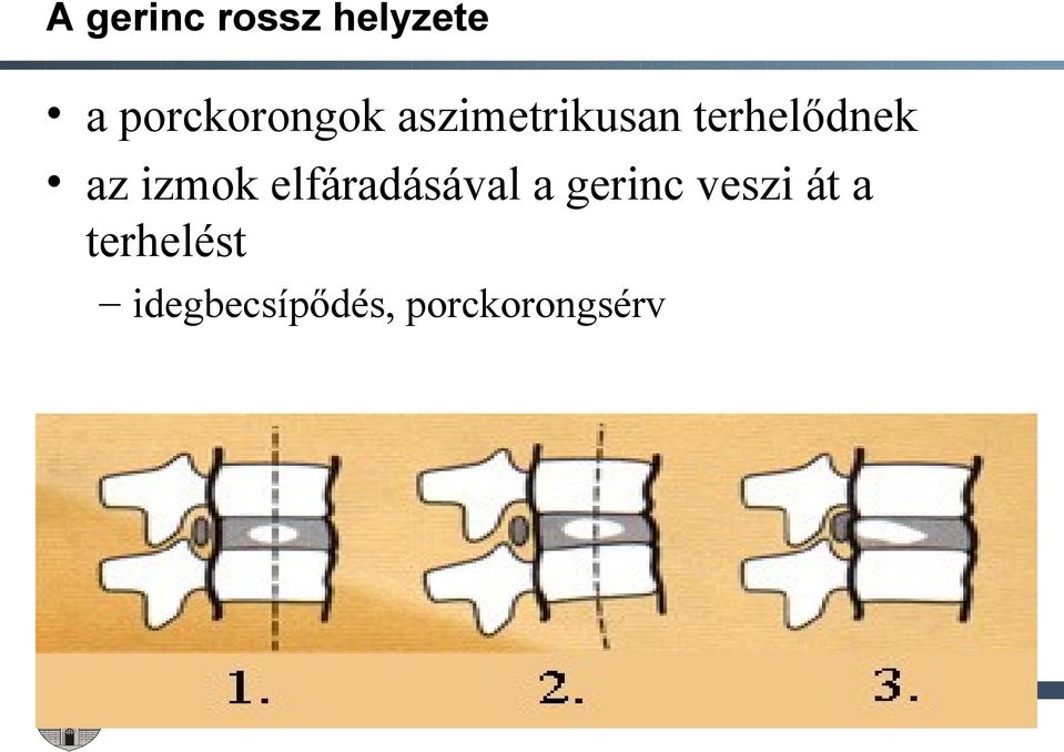 terhelődnek az izmok elfáradásával a