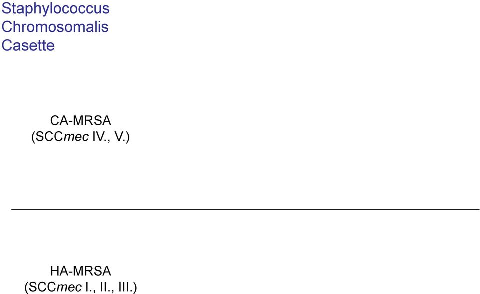 CA-MRSA (SCCmec IV., V.