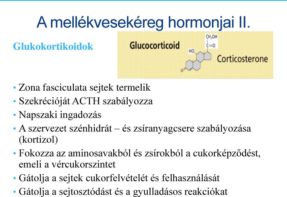 ingadozás A szervezet szénhidrát és zsíranyagcsere szabályozása (kortizol) Fokozza az