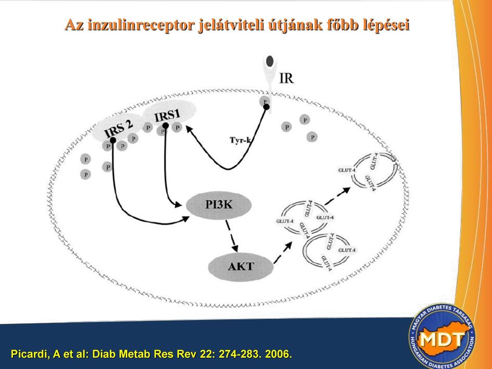 lépései Picardi, A et al: