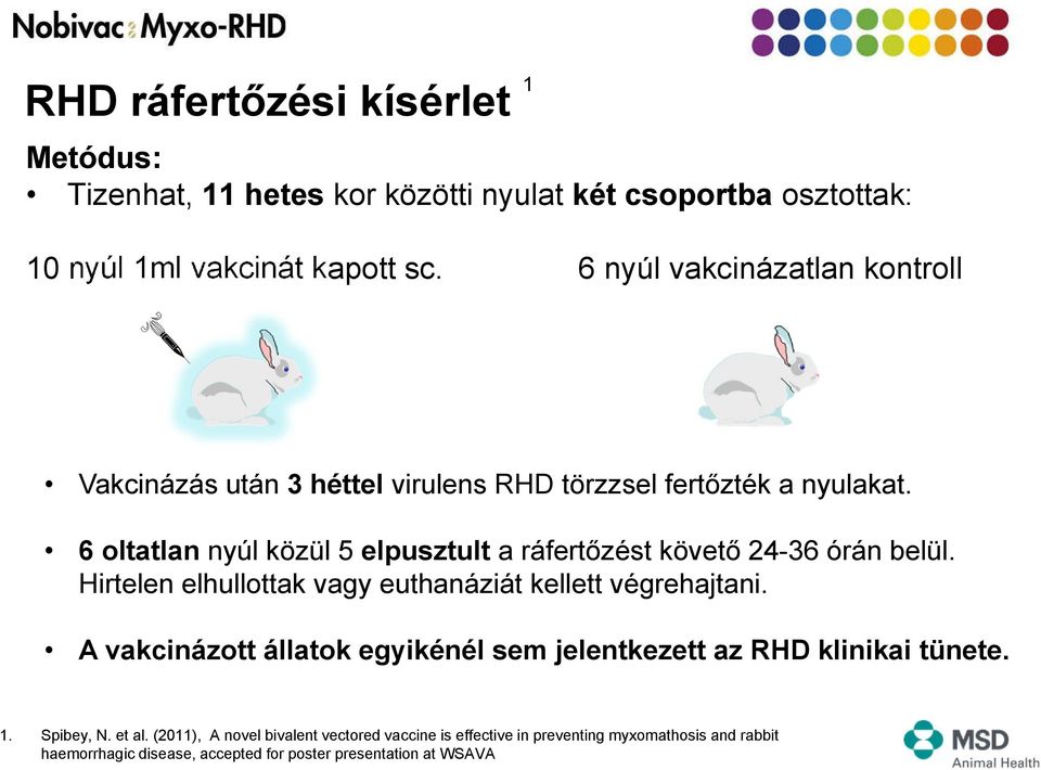 6 oltatlan nyúl közül 5 elpusztult a ráfertőzést követő 24-36 órán belül. Hirtelen elhullottak vagy euthanáziát kellett végrehajtani.