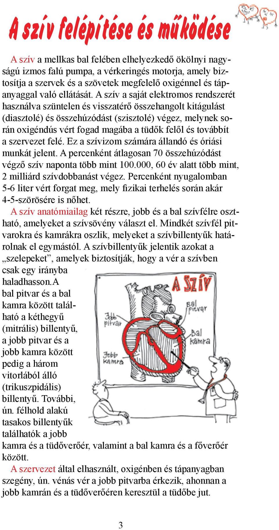 A szív a saját elektromos rendszerét használva szüntelen és visszatérő összehangolt kitágulást (diasztolé) és összehúzódást (szisztolé) végez, melynek során oxigéndús vért fogad magába a tüdők felől