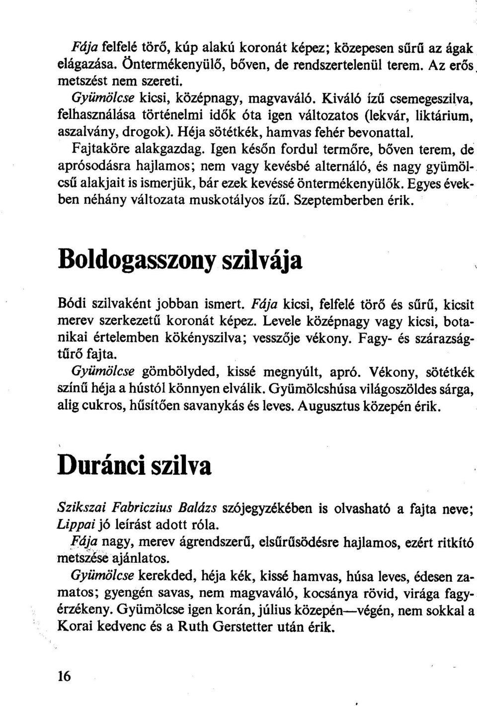 Igen későn fordul termőre, bőven terem, de aprósodásra hajlamos; nem vagy kevésbé alternáló, és nagy gyümölcsű alakjait is ismerjük, bár ezek kevéssé öntermékenyülők.