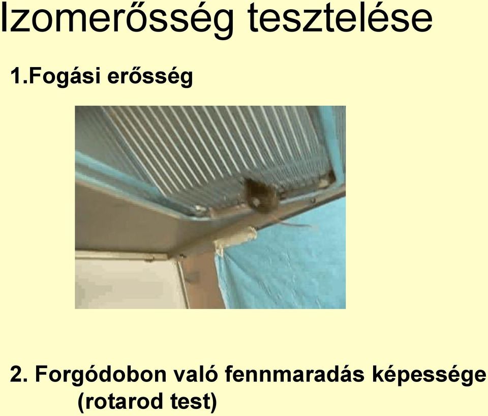Forgódobon való