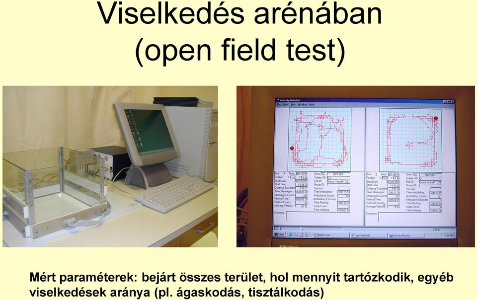 terület, hol mennyit tartózkodik, egyéb