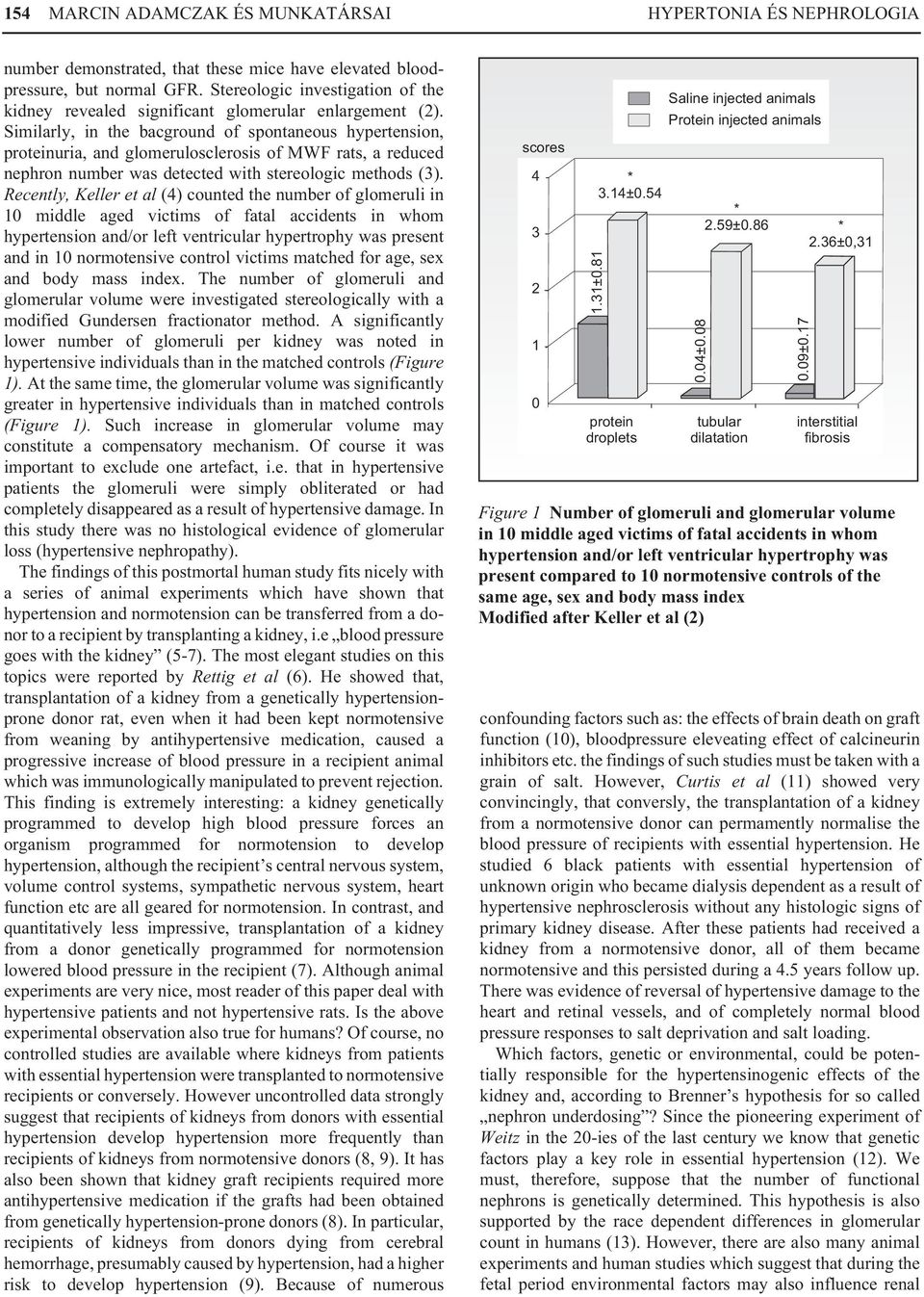 Similarly, in the bacground of spontaneous hypertension, proteinuria, and glomerulosclerosis of MWF rats, a reduced nephron number was detected with stereologic methods (3).