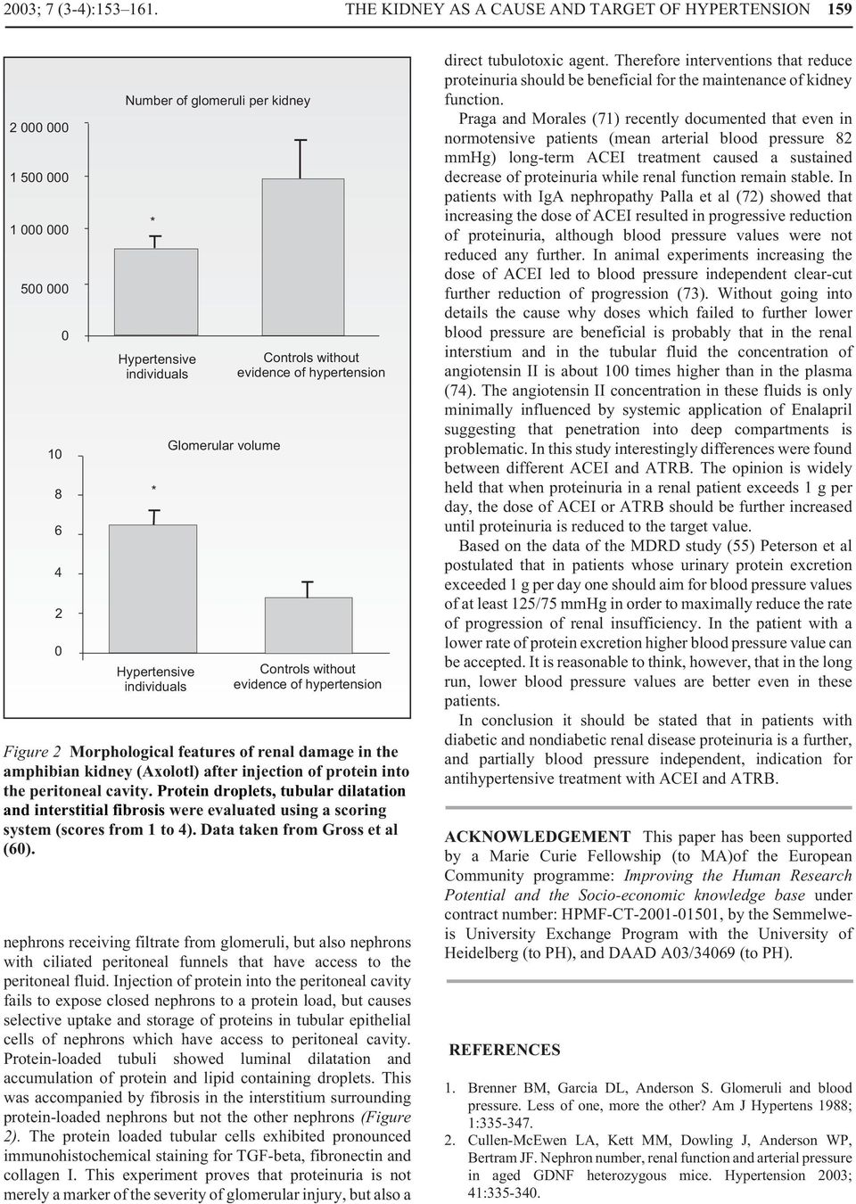 Glomerular volume Controls without evidence of hypertension Controls without evidence of hypertension Figure 2 Morphological features of renal damage in the amphibian kidney (Axolotl) after injection