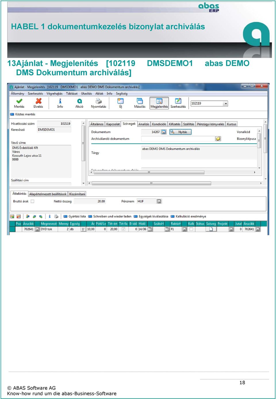 DMSDEMO1 abas DEMO