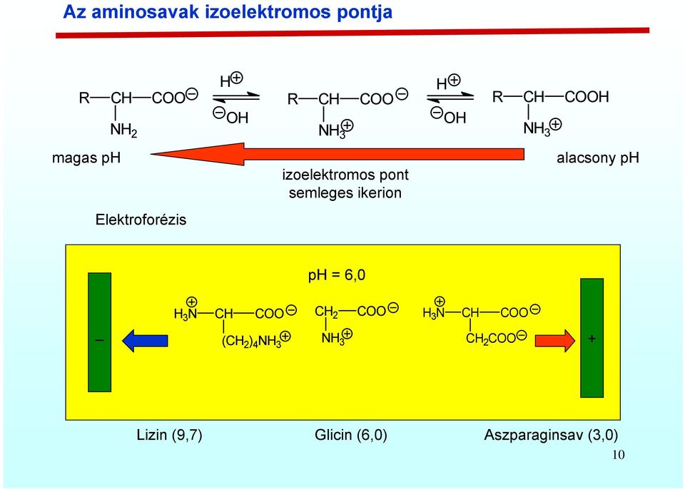 alacsony p Elektroforézis p = 6,0 3 N 2 3 N _ ( 2