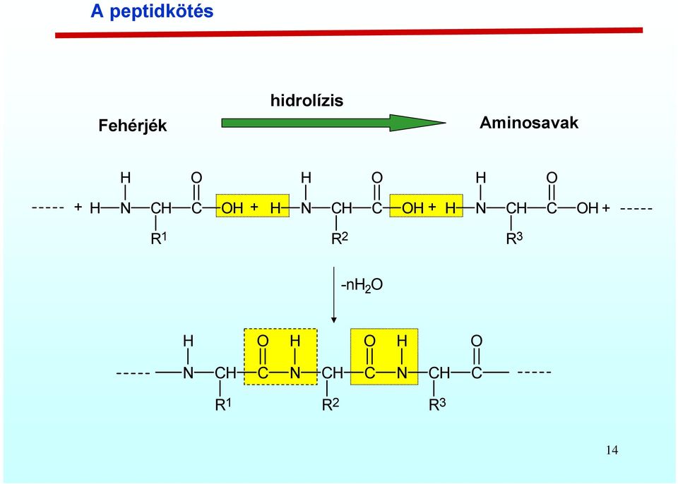 Aminosavak + N + N +