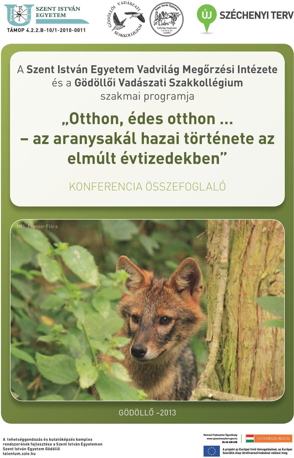 KONFERENCIA ÖSSZEFOGLALÓ fotó: Franzer Flóra GÖDÖLLŐ 2013 A tehetséggondozás és kutatóképzés