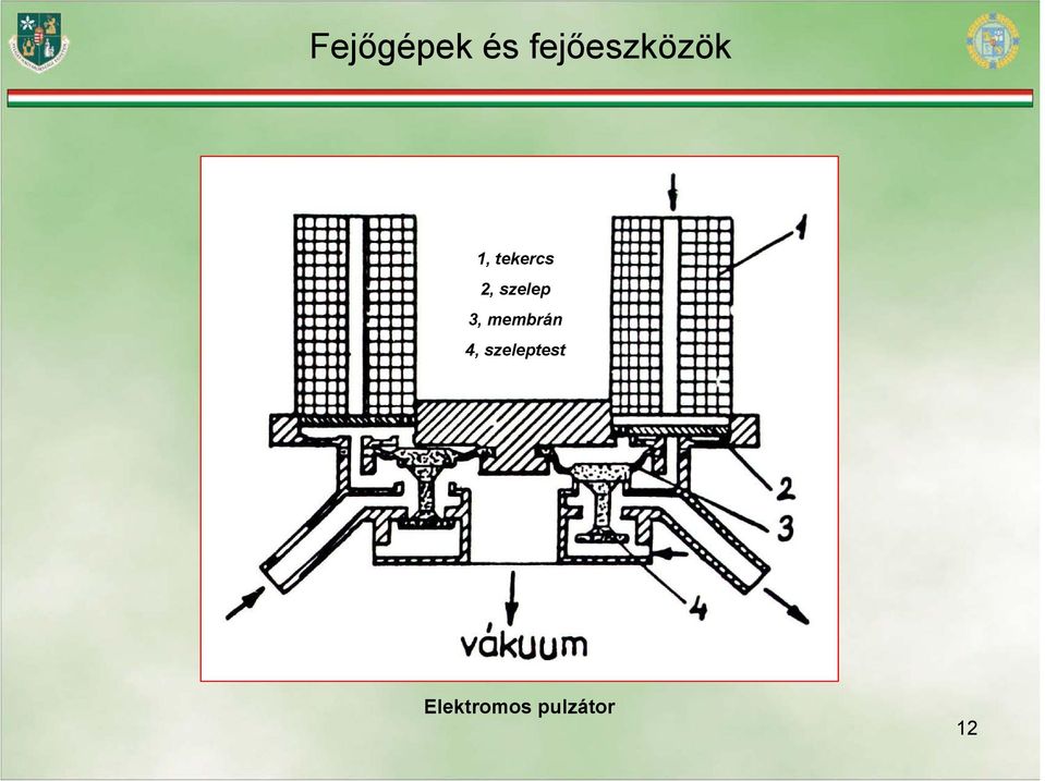 membrán 4,