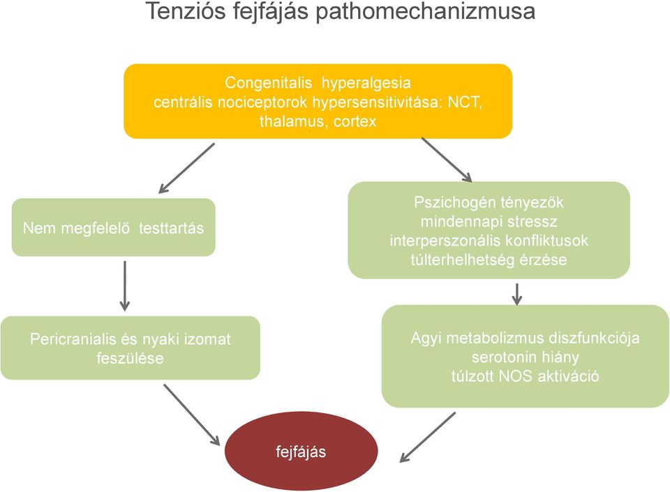 mindennapi stressz interperszonális konfliktusok túlterhelhetség érzése Pericranialis és