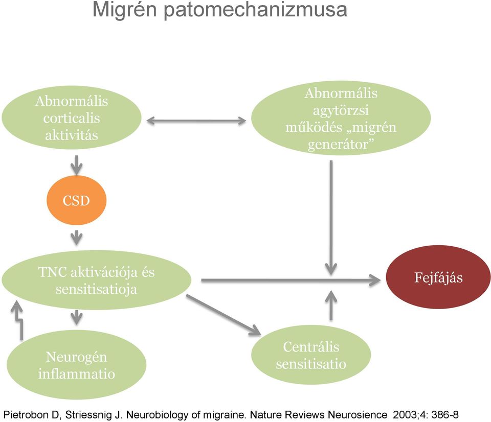sensitisatioja Fejfájás Neurogén inflammatio Centrális sensitisatio