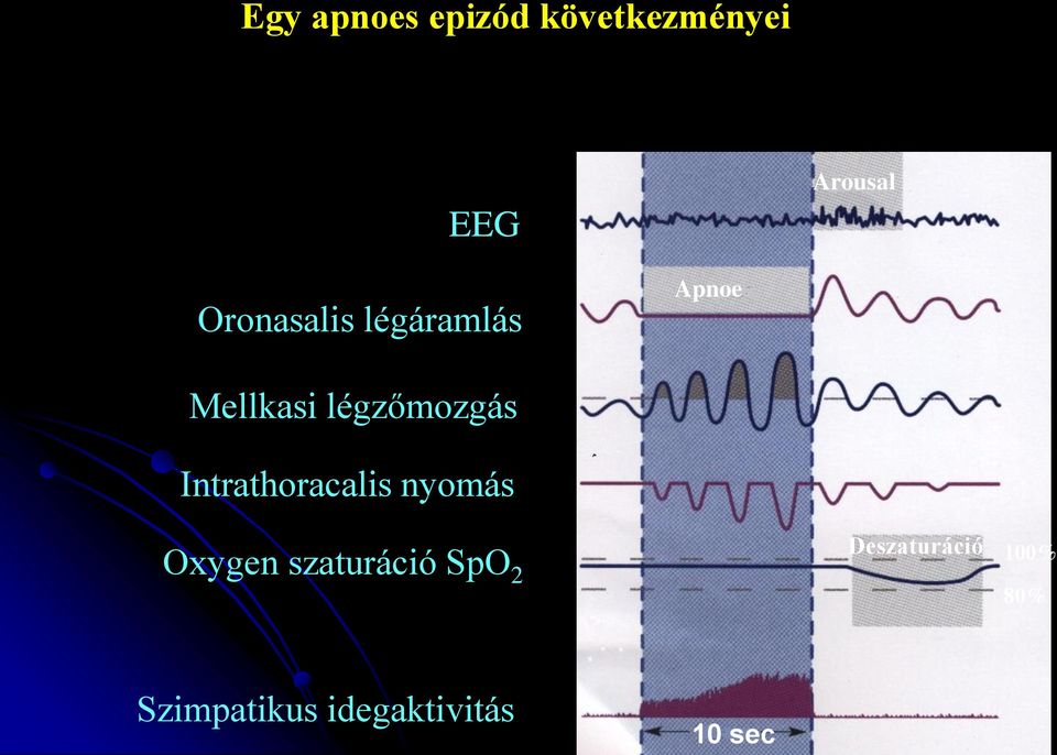 Intrathoracalis nyomás Oxygen szaturáció SpO 2