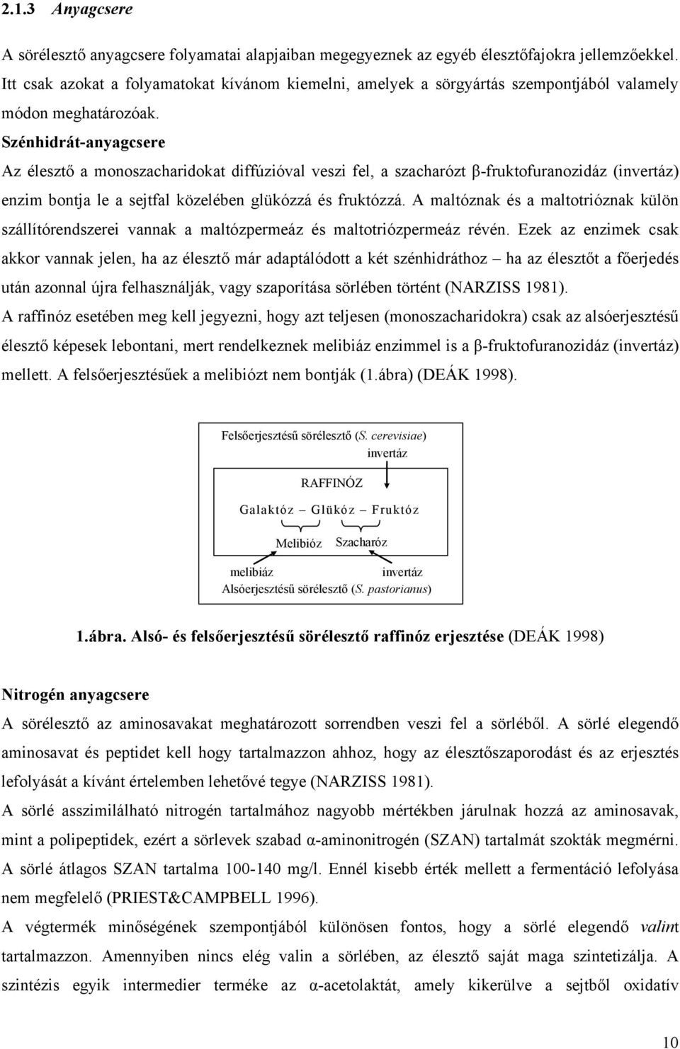 Szénhidrát-anyagcsere Az élesztő a monoszacharidokat diffúzióval veszi fel, a szacharózt β-fruktofuranozidáz (invertáz) enzim bontja le a sejtfal közelében glükózzá és fruktózzá.