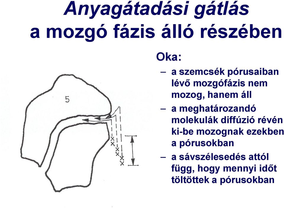 molekulák diffúzió révén ki-be mozognak ezekben a pórusokban a