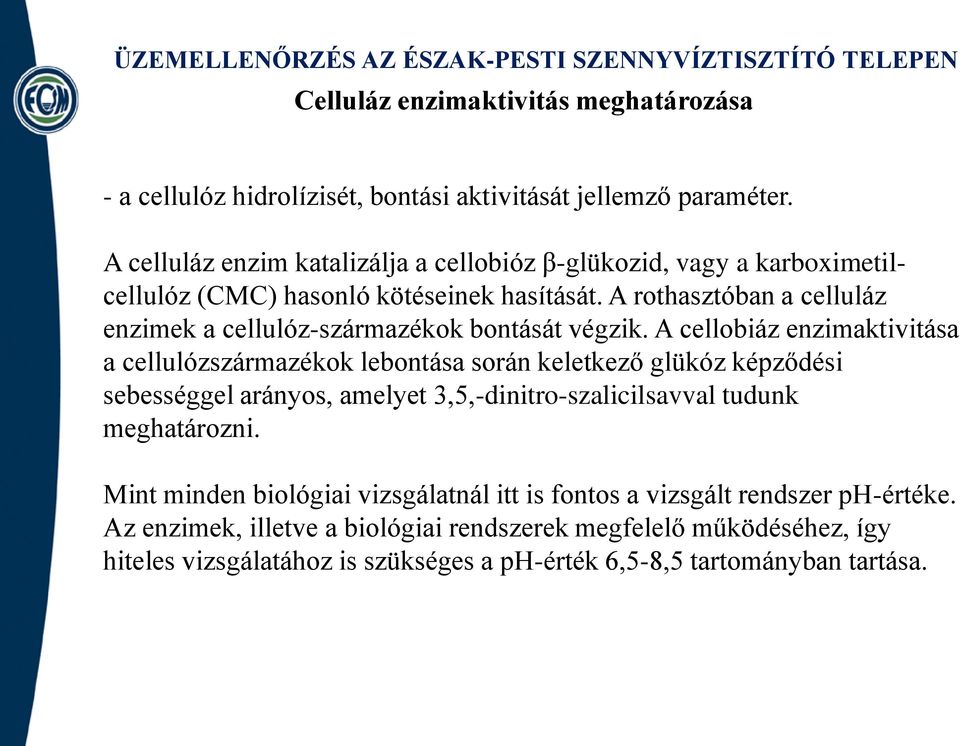 A rothasztóban a celluláz enzimek a cellulóz-származékok bontását végzik.