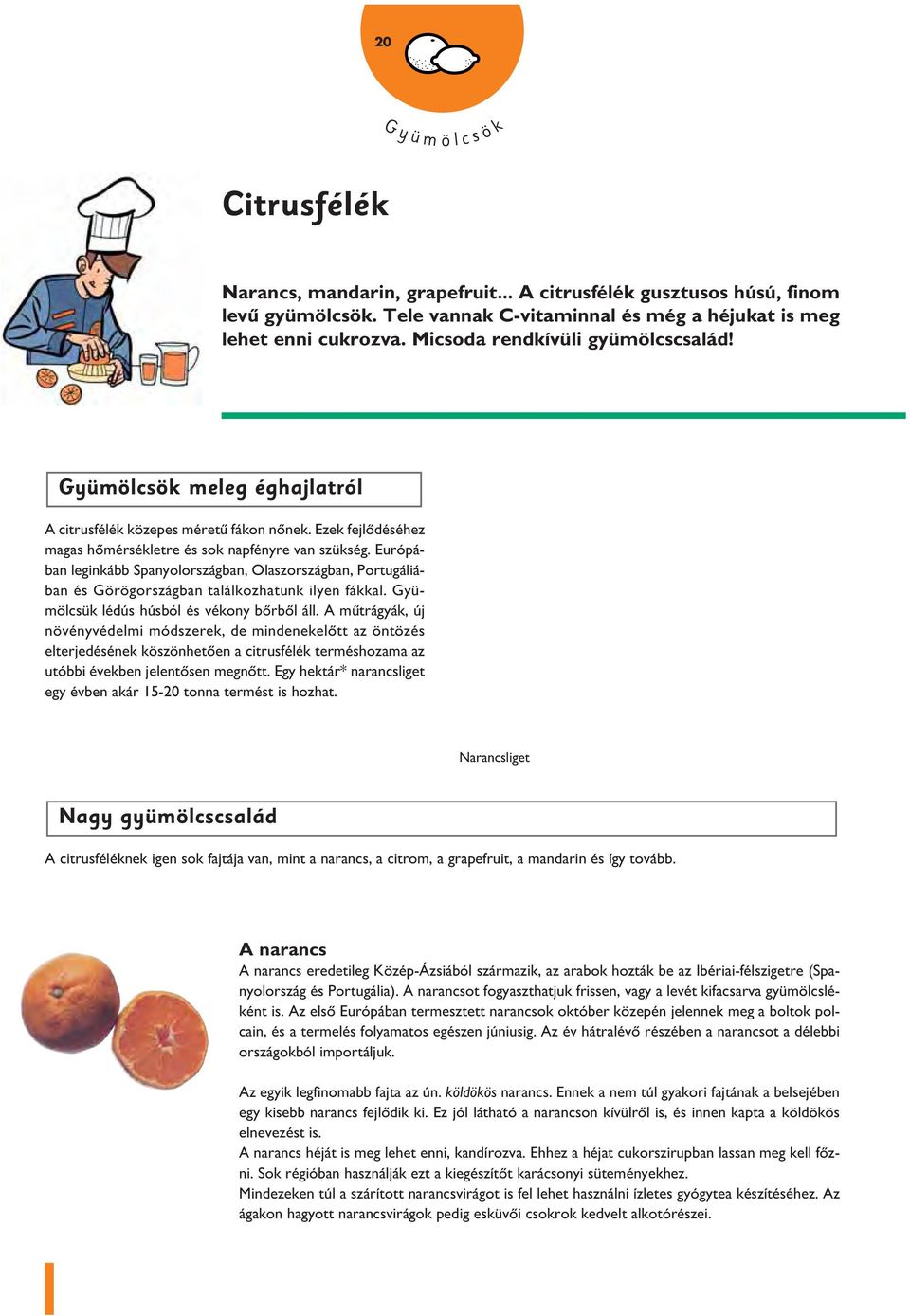 Európában leginkább Spanyolországban, Olaszországban, Portugáliában és Görögországban találkozhatunk ilyen fákkal. Gyümölcsük lédús húsból és vékony bôrbôl áll.