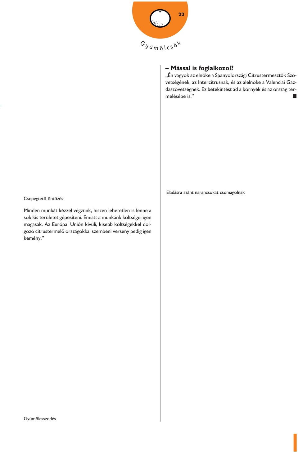 Ez betekintést ad a környék és az ország termelésébe is.