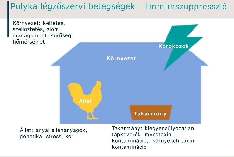 Állat Takarmány Állat: anyai ellenanyagok, genetika, stress, kor Takarmány: