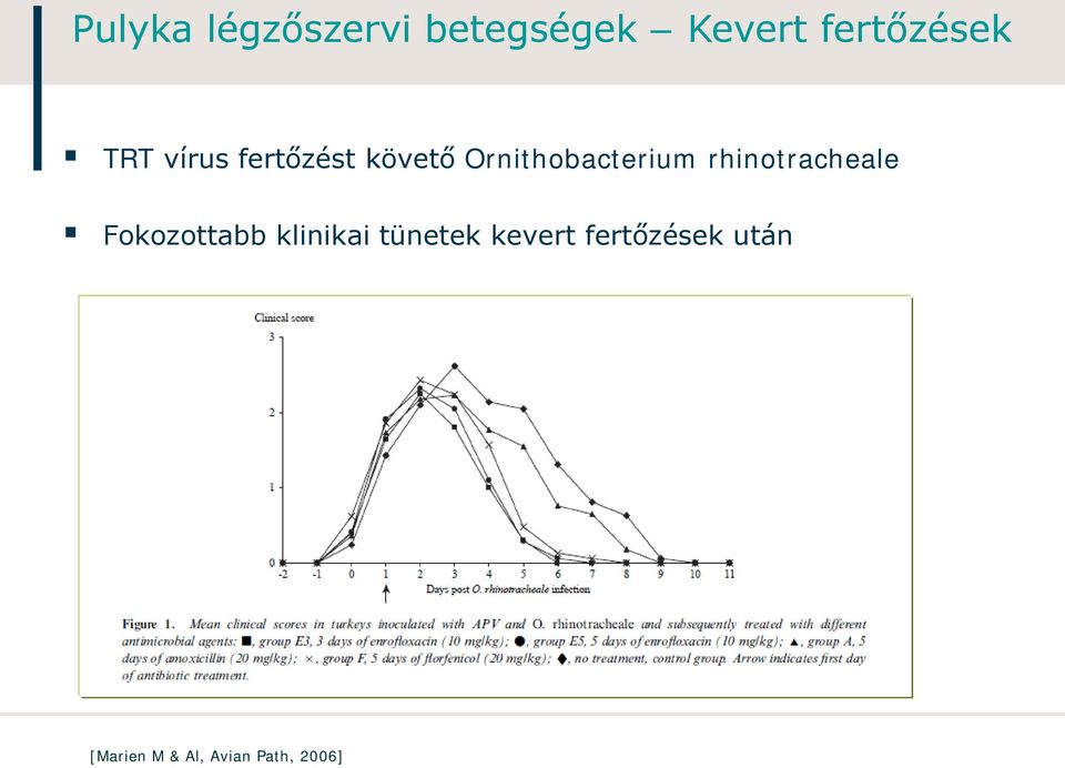 rhinotracheale Fokozottabb klinikai tünetek