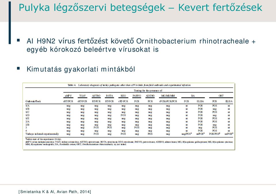 rhinotracheale + egyéb kórokozó beleértve vírusokat is