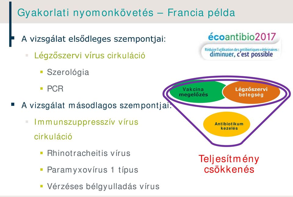 Immunszuppresszív vírus cirkuláció Vakcina megelőzés Antibiotikum kezelés Légzőszervi