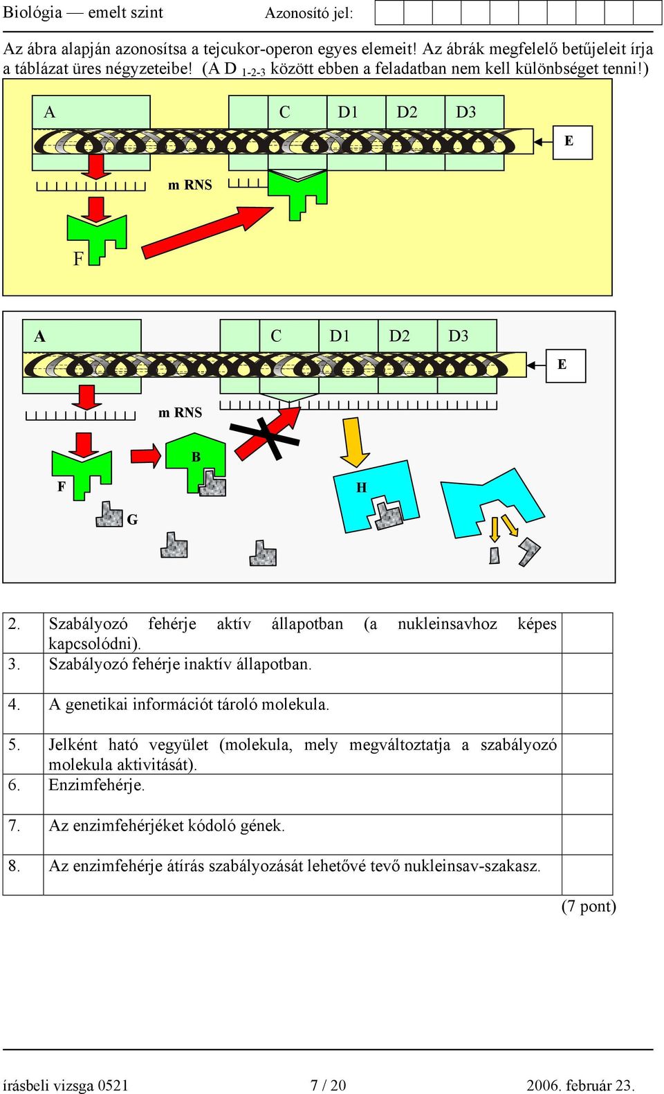 Szabályozó fehérje aktív állapotban (a nukleinsavhoz képes kapcsolódni). 3. Szabályozó fehérje inaktív állapotban. 4. A genetikai információt tároló molekula. 5.