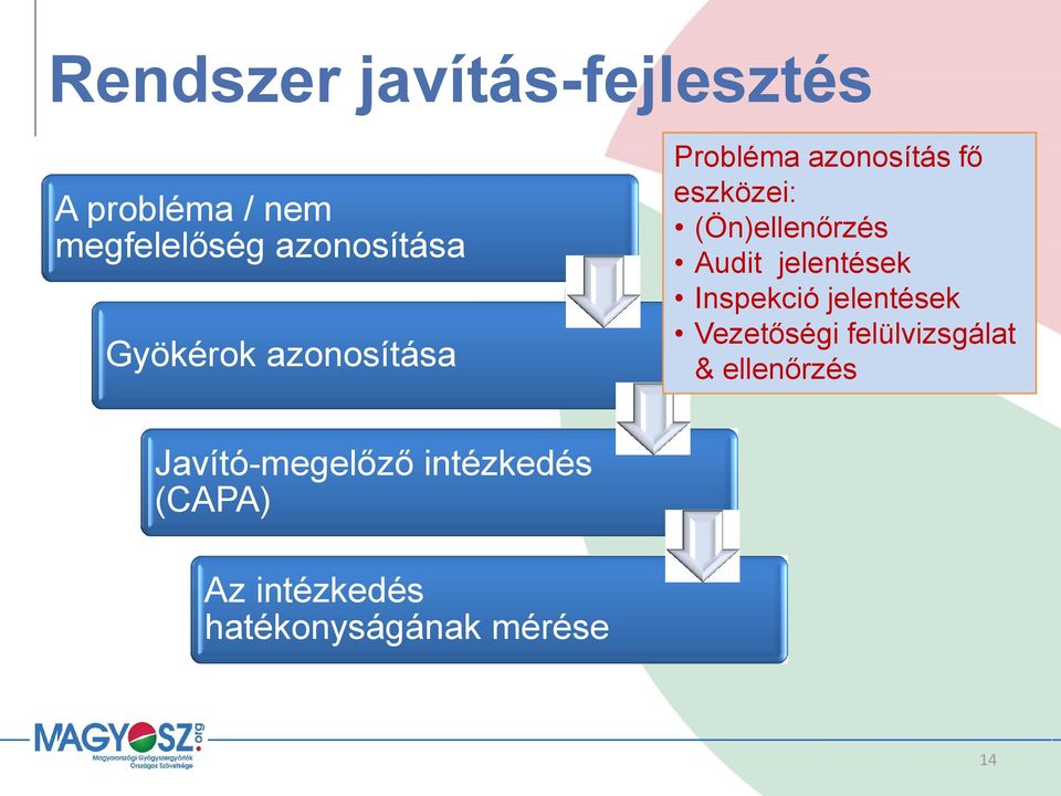 Audit jelentések Inspekció jelentések Vezetőségi felülvizsgálat &