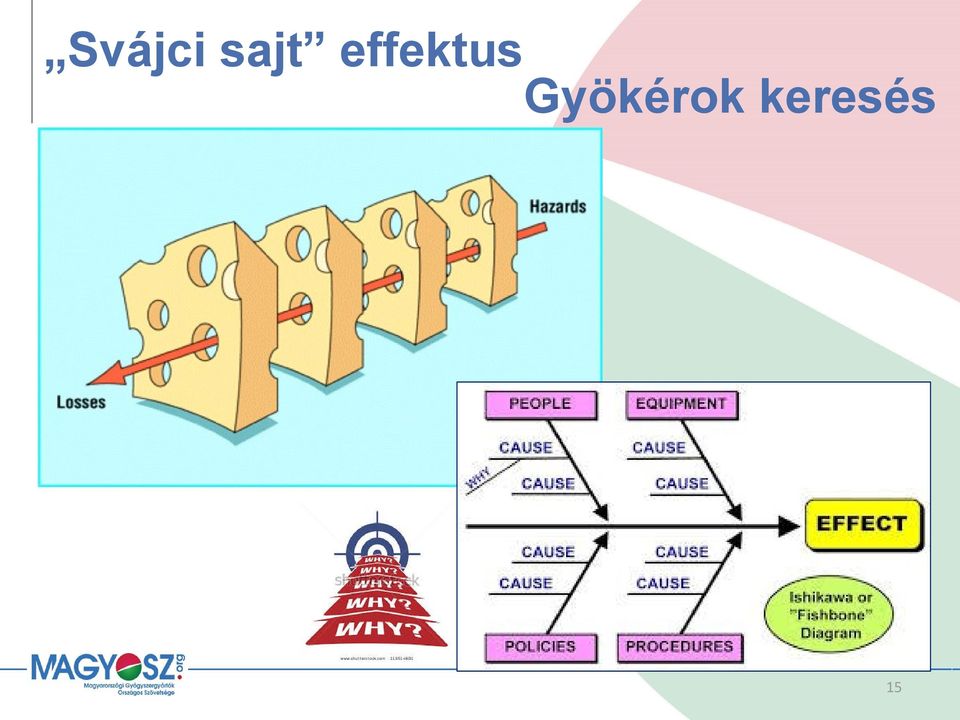 effektus