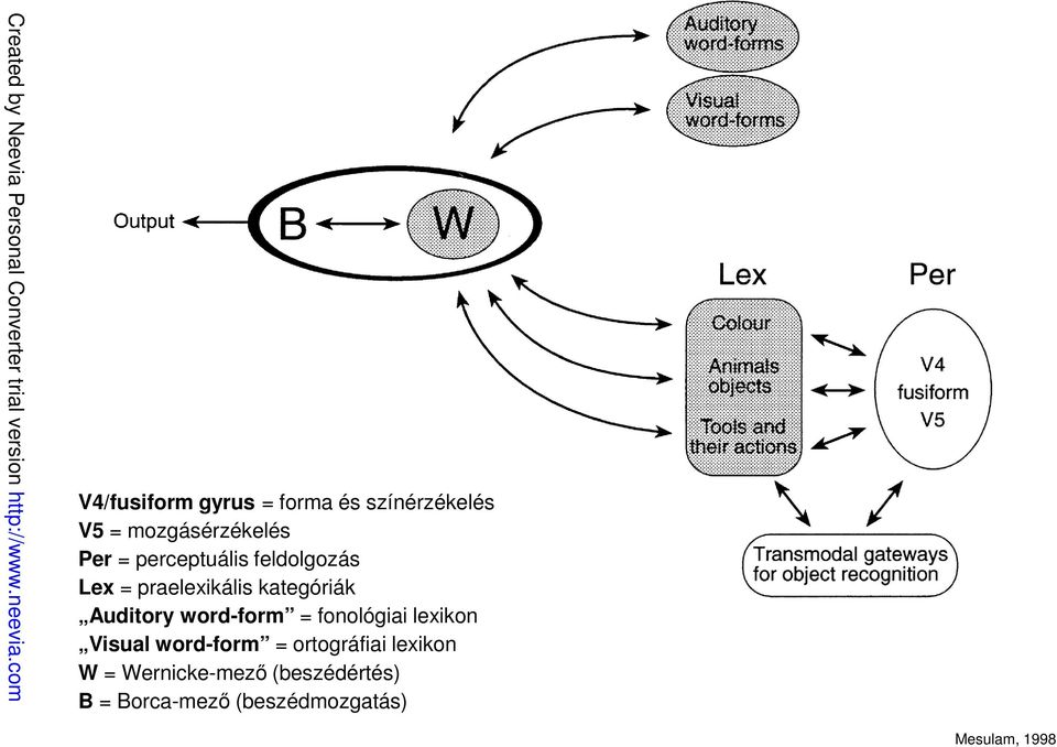 word-form = fonológiai lexikon Visual word-form = ortográfiai lexikon