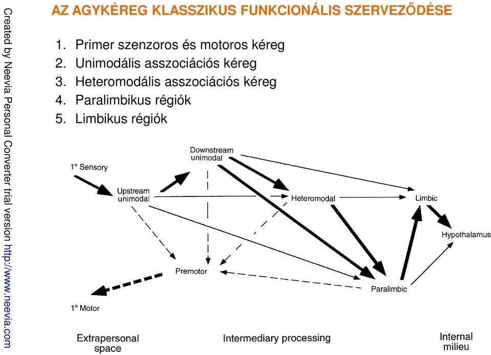 Unimodális asszociációs kéreg 3.