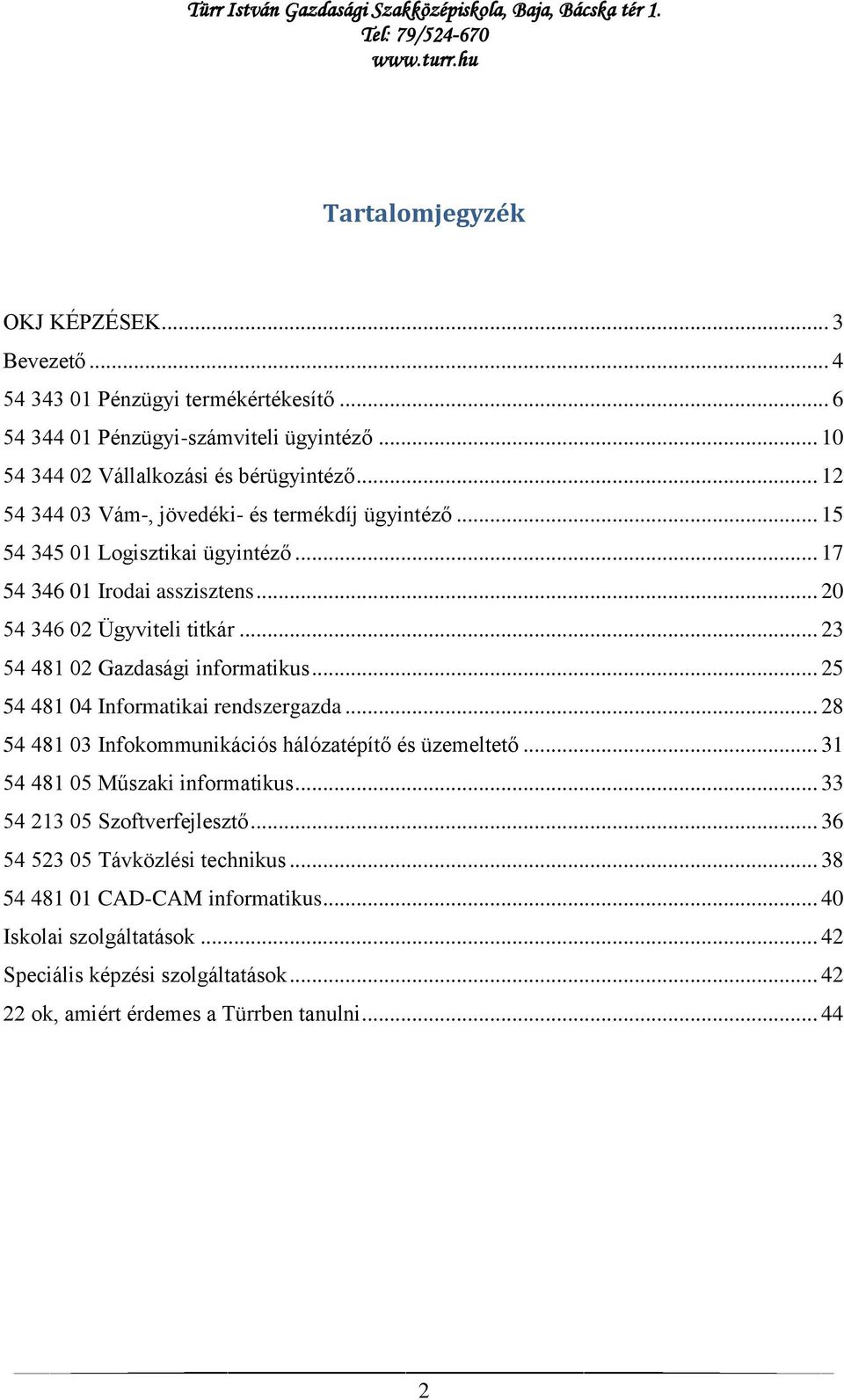 .. 23 54 481 02 Gazdasági informatikus... 25 54 481 04 Informatikai rendszergazda... 28 54 481 03 Infokommunikációs hálózatépítő és üzemeltető... 31 54 481 05 Műszaki informatikus.