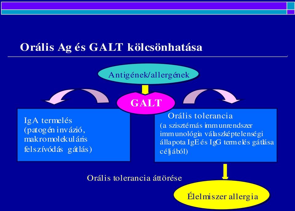 szisztémás immunrendszer immunológia válaszképtelenségi állapota IgE és