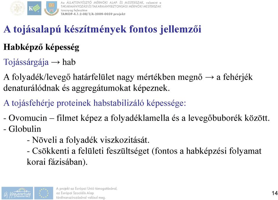 A tojásfehérje proteinek habstabilizáló képessége: - Ovomucin filmet képez a folyadéklamella és a