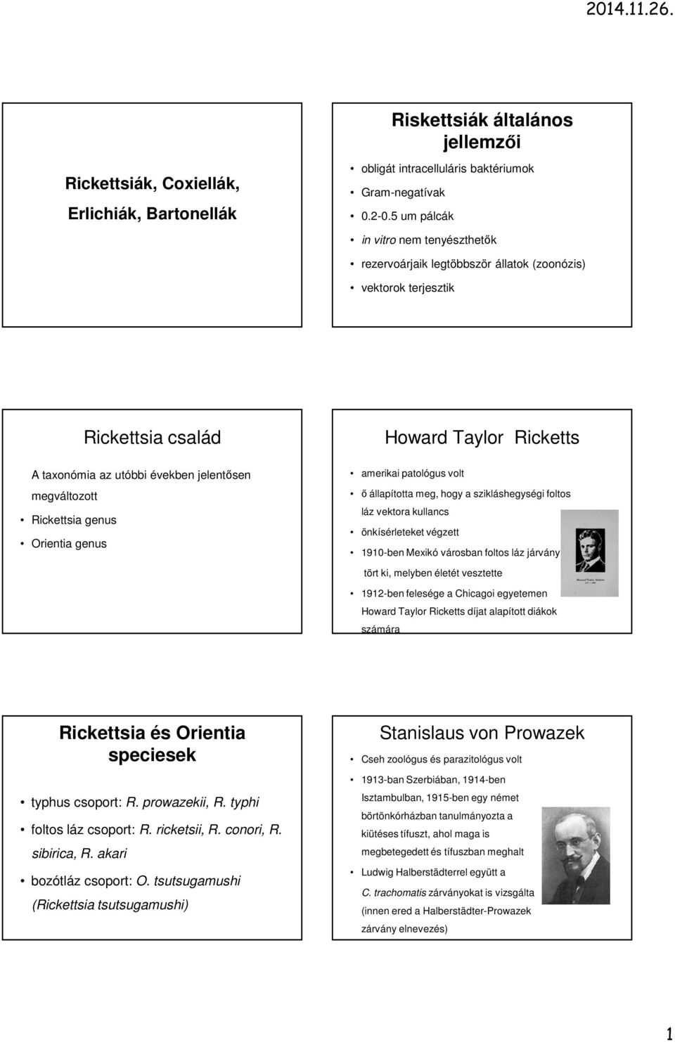 Orientia genus Howard Taylor Ricketts amerikai patológus volt ő állapította meg, hogy a szikláshegységi foltos láz vektora kullancs önkísérleteket végzett 1910-ben Mexikó városban foltos láz járvány